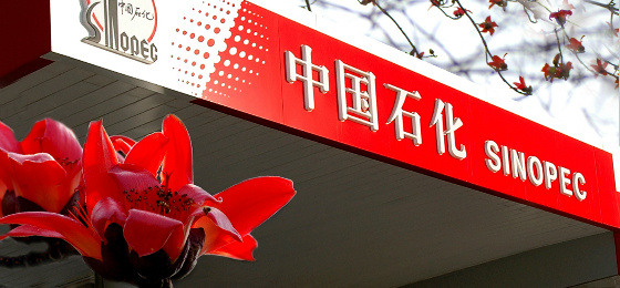 1559806911854937.jpg 中國(guó)石化.jpg